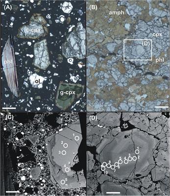 Pyroxenites and Megacrysts From Alkaline Melts of the Calatrava Volcanic Field (Central Spain): Inferences From Trace Element Geochemistry and Sr-Nd Isotope Composition